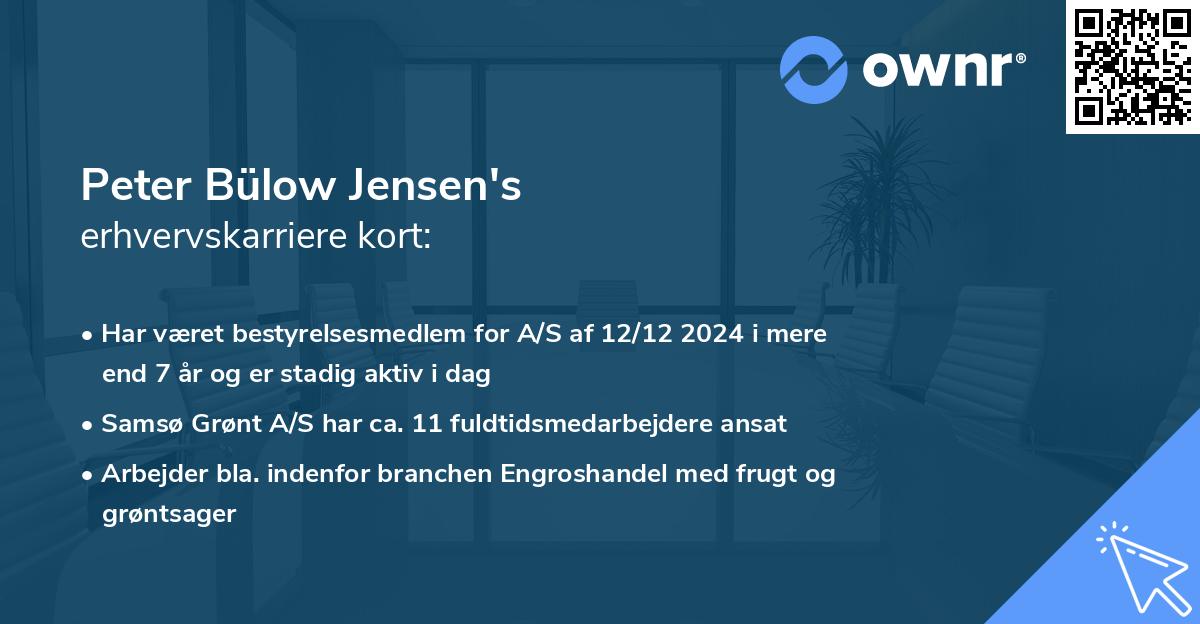 Peter Bülow Jensen's erhvervskarriere kort