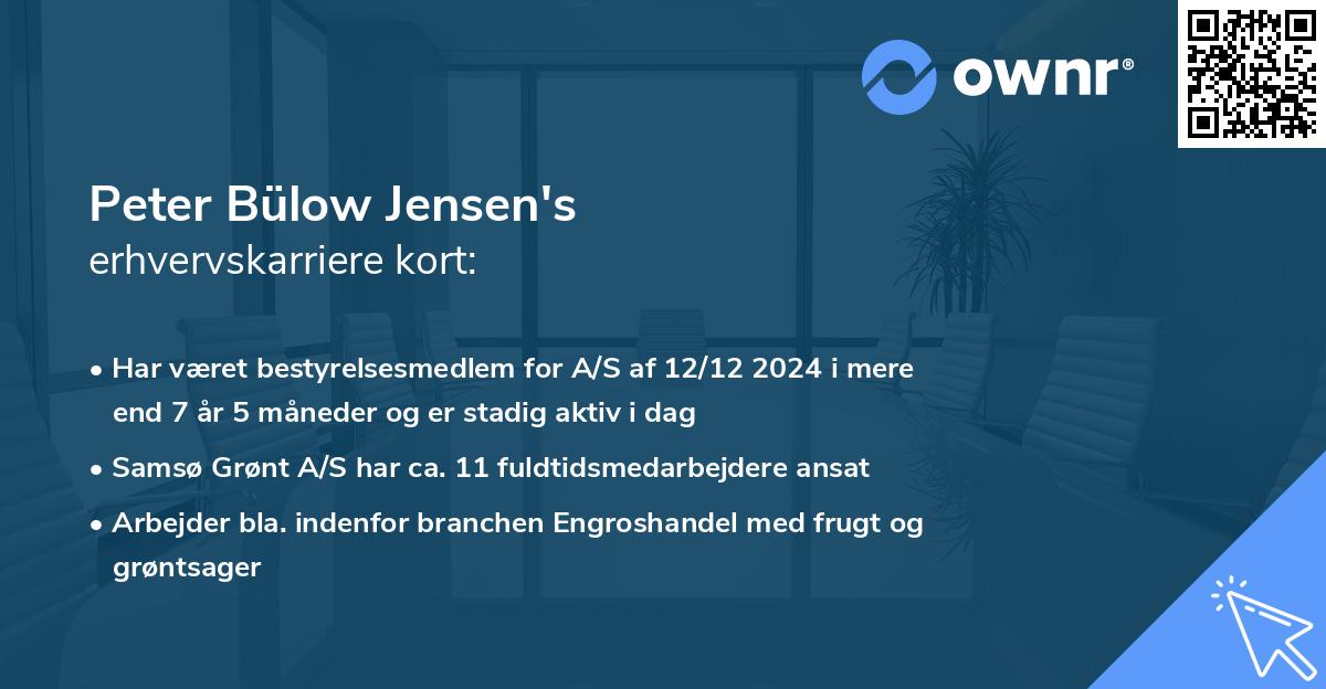 Peter Bülow Jensen's erhvervskarriere kort