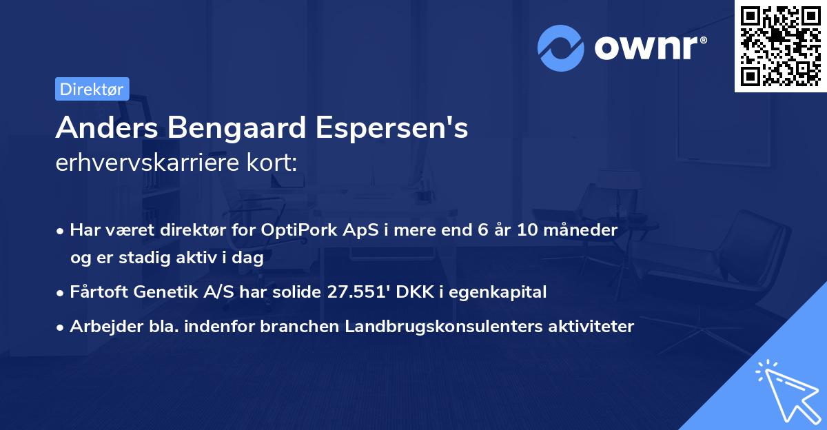 Anders Bengaard Espersen's erhvervskarriere kort
