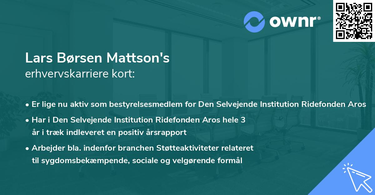 Lars Børsen Mattson's erhvervskarriere kort