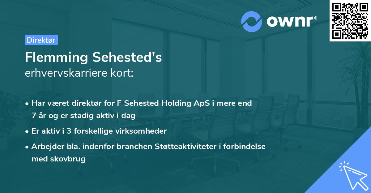 Flemming Sehested's erhvervskarriere kort