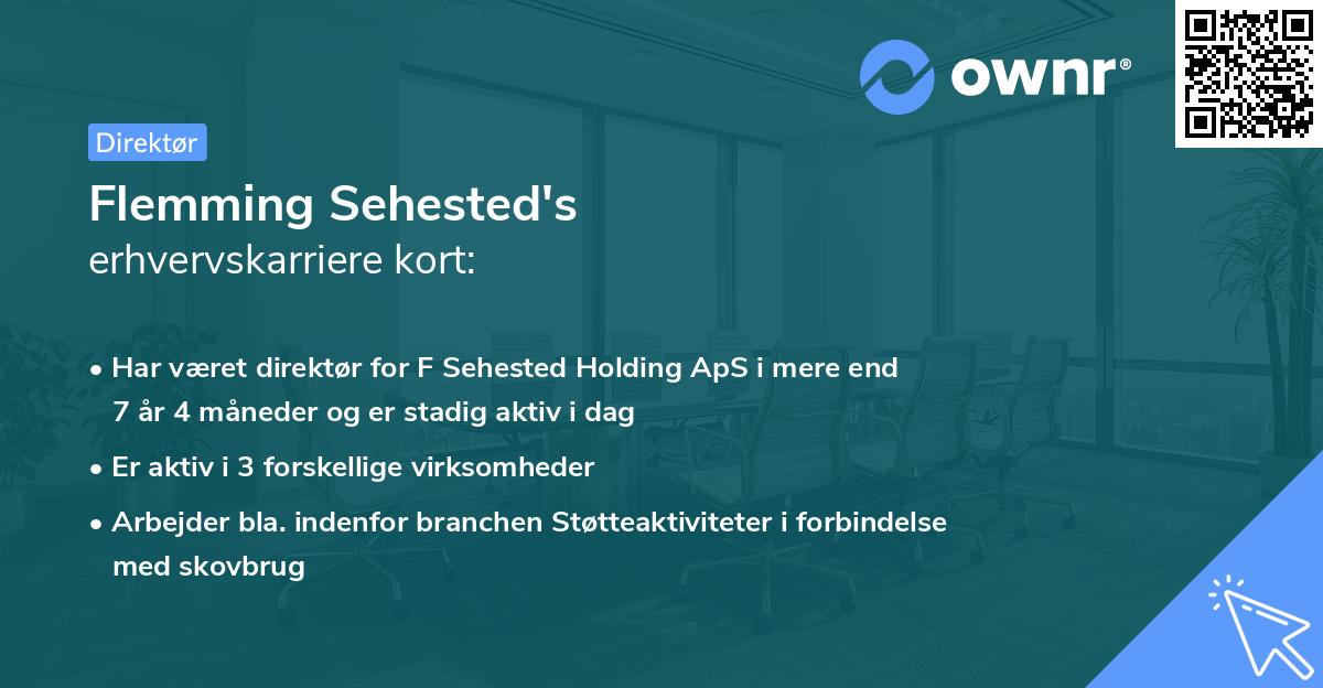 Flemming Sehested's erhvervskarriere kort