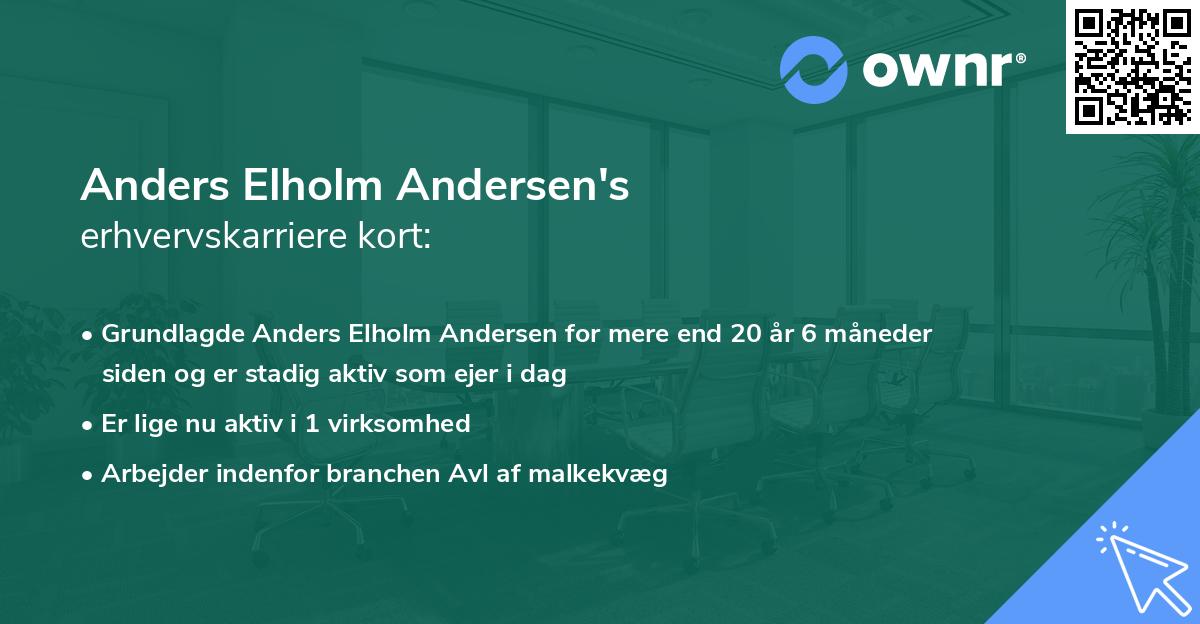 Anders Elholm Andersen's erhvervskarriere kort