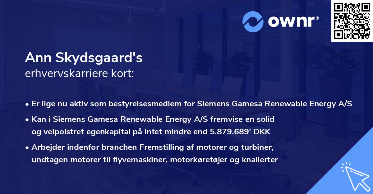 Ann Skydsgaard's erhvervskarriere kort