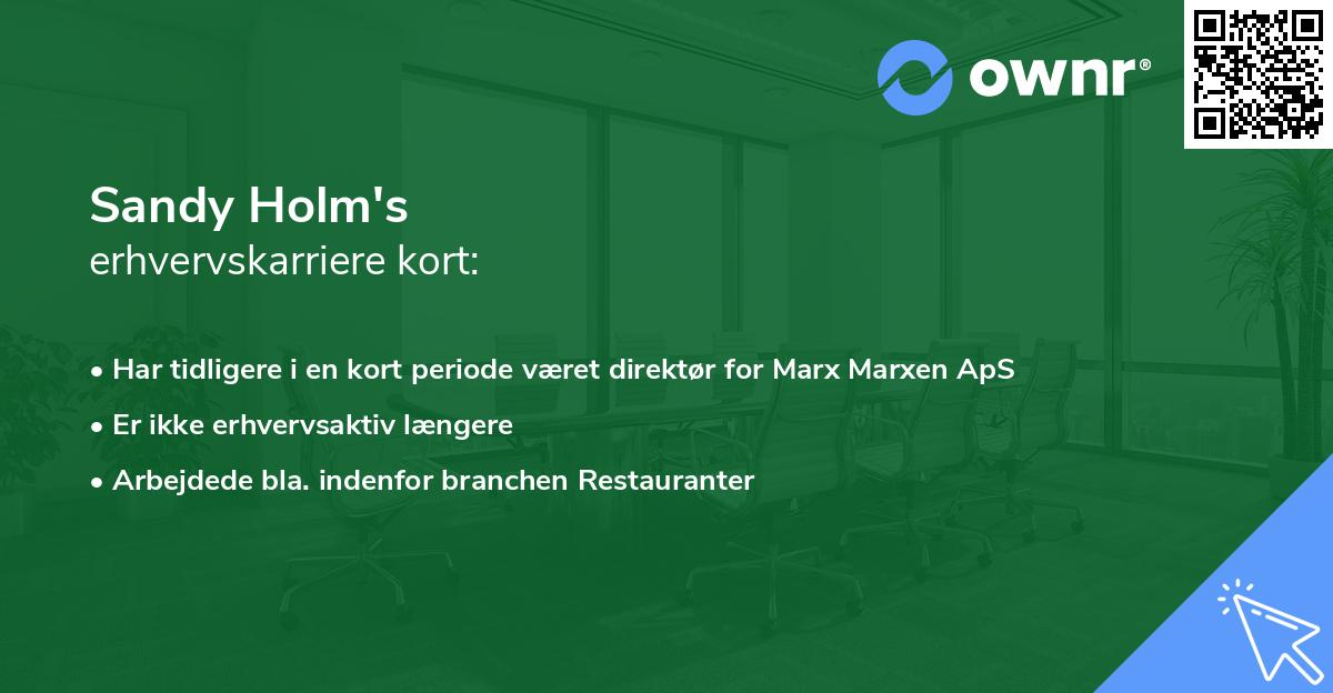 Sandy Holm's erhvervskarriere kort