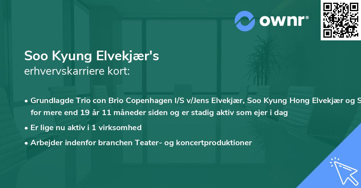 Soo Kyung Elvekjær's erhvervskarriere kort