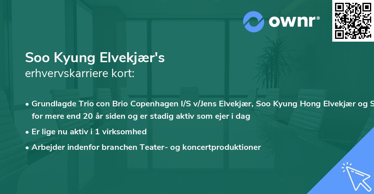 Soo Kyung Elvekjær's erhvervskarriere kort