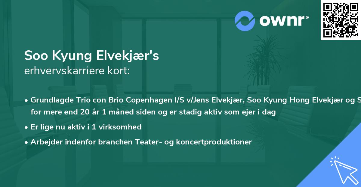 Soo Kyung Elvekjær's erhvervskarriere kort