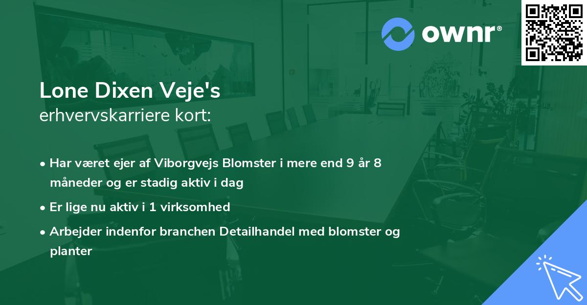 Lone Dixen Veje's erhvervskarriere kort