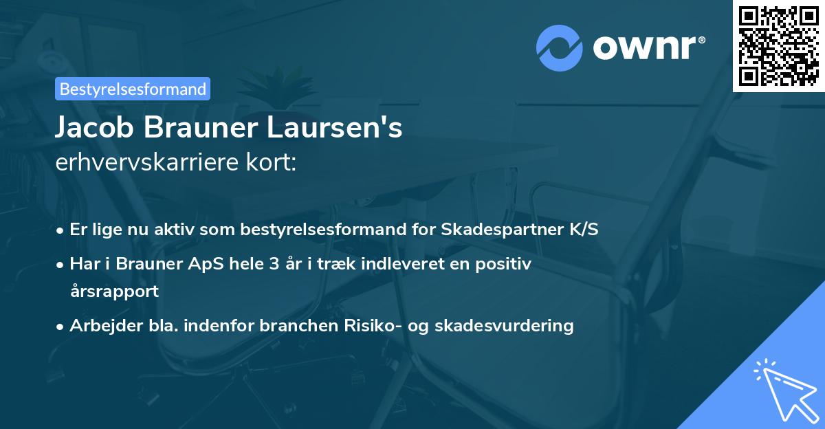 Jacob Brauner Laursen's erhvervskarriere kort