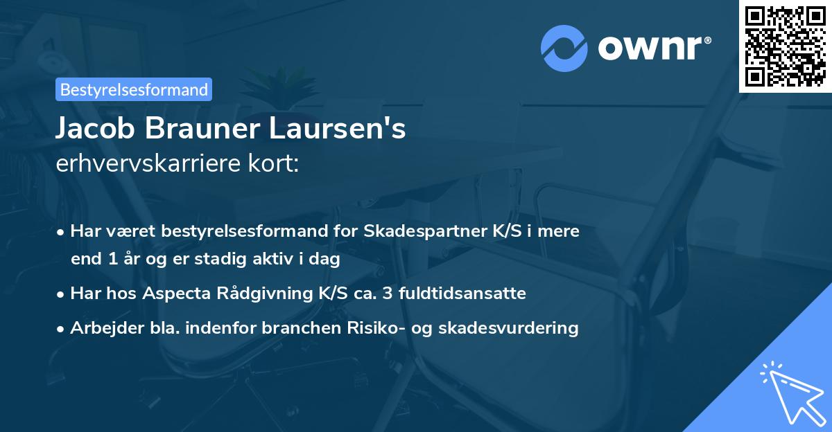 Jacob Brauner Laursen's erhvervskarriere kort