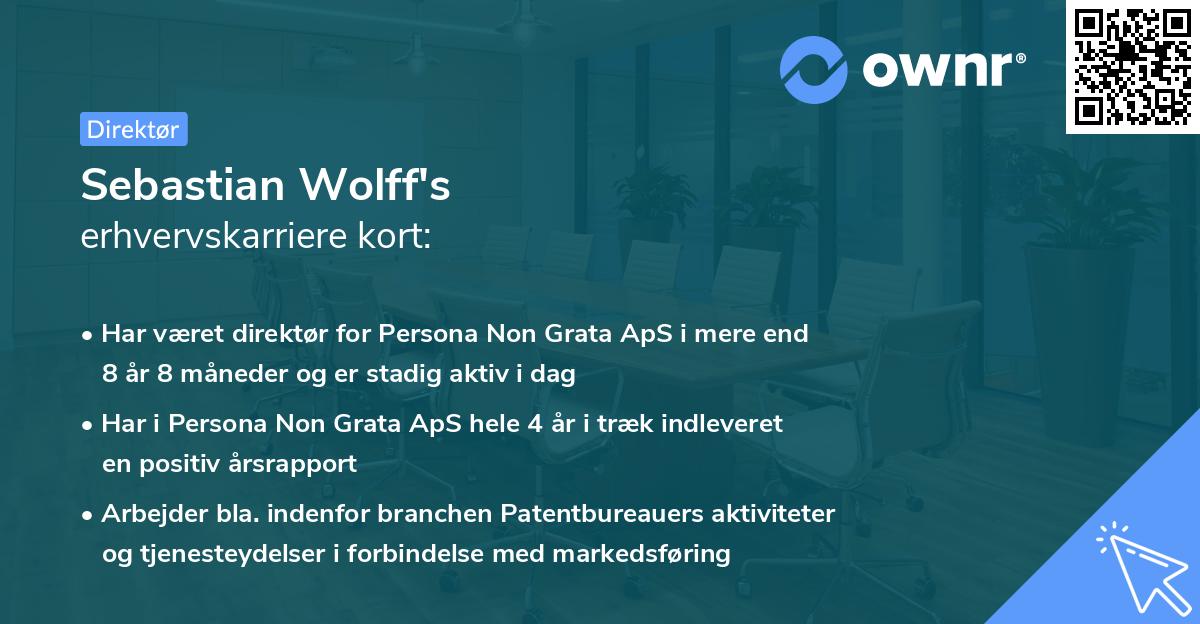 Sebastian Wolff's erhvervskarriere kort