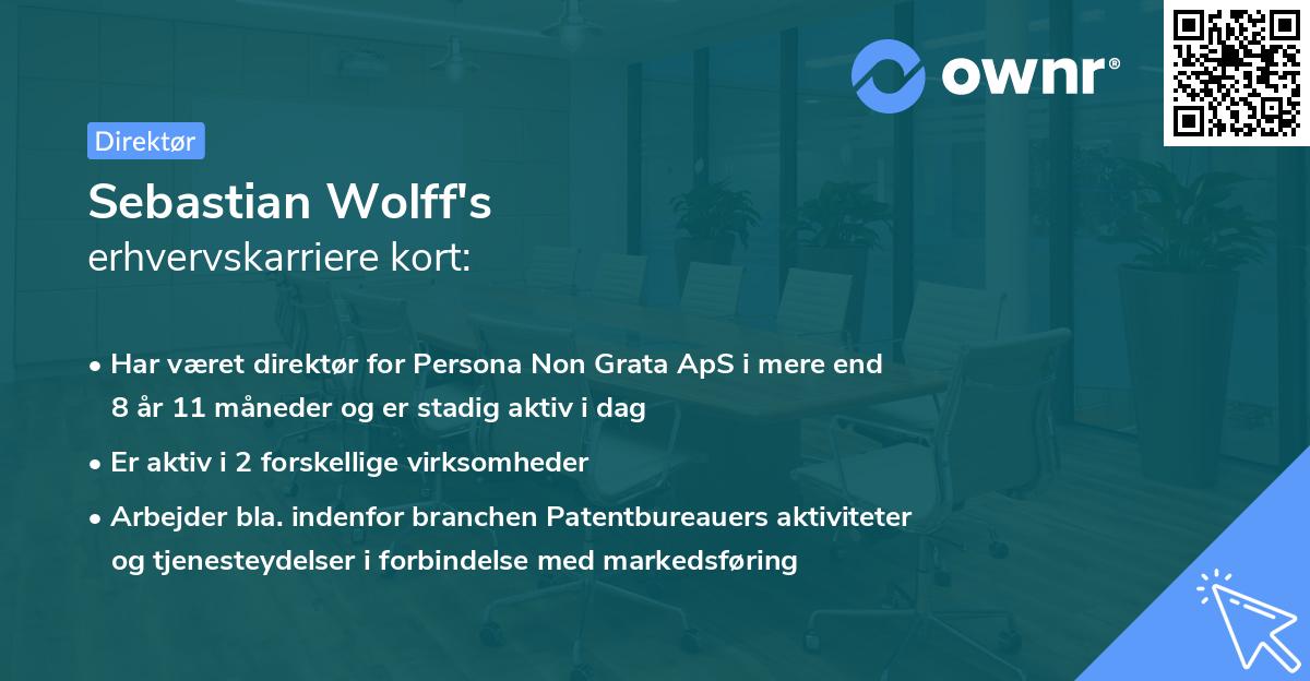 Sebastian Wolff's erhvervskarriere kort