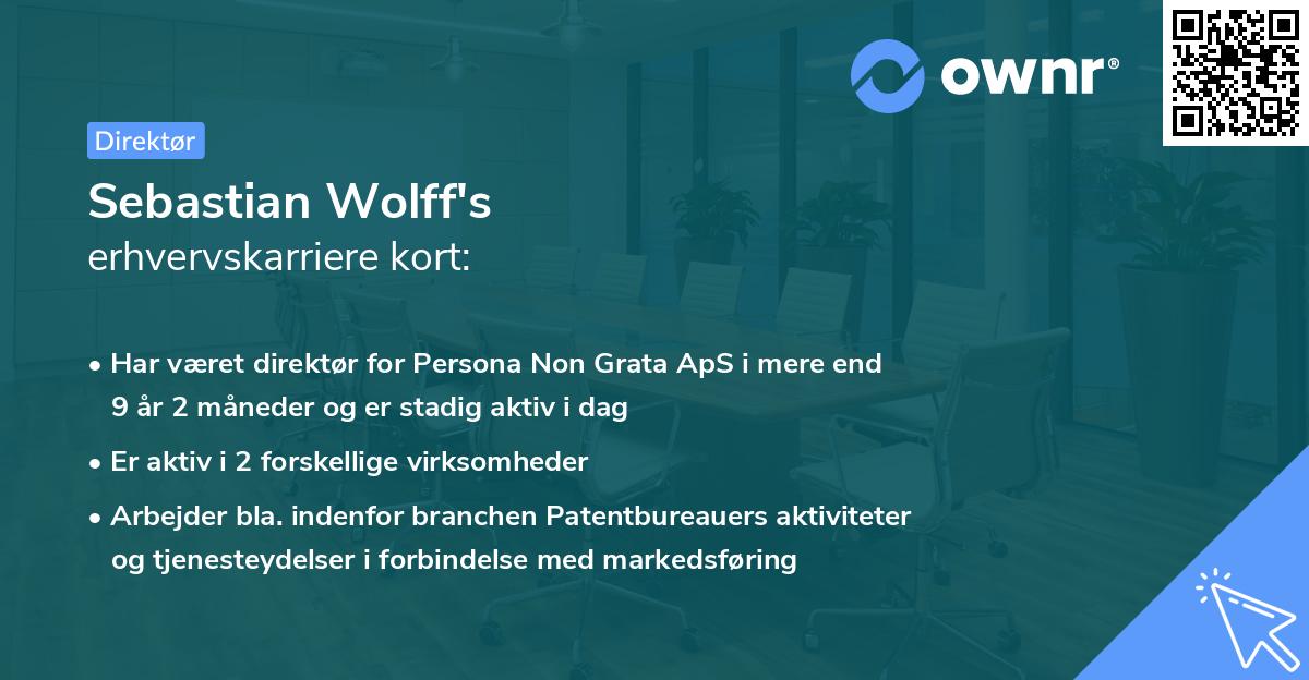 Sebastian Wolff's erhvervskarriere kort