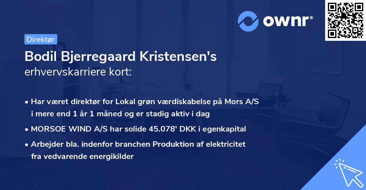 Bodil Bjerregaard Kristensen's erhvervskarriere kort