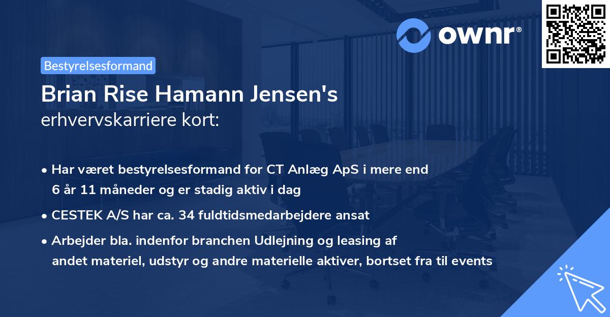 Brian Rise Hamann Jensen's erhvervskarriere kort