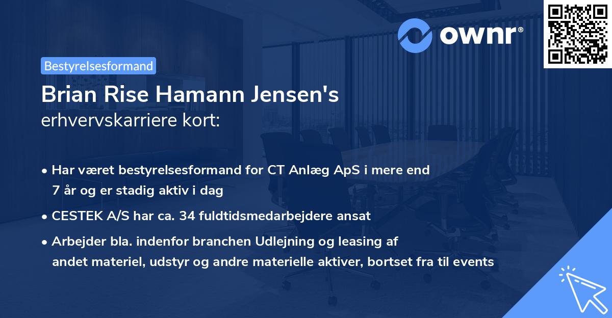 Brian Rise Hamann Jensen's erhvervskarriere kort