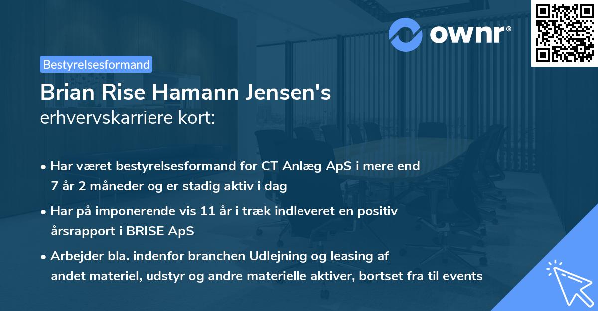 Brian Rise Hamann Jensen's erhvervskarriere kort