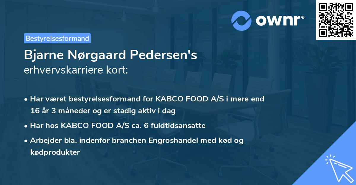 Bjarne Nørgaard Pedersen's erhvervskarriere kort