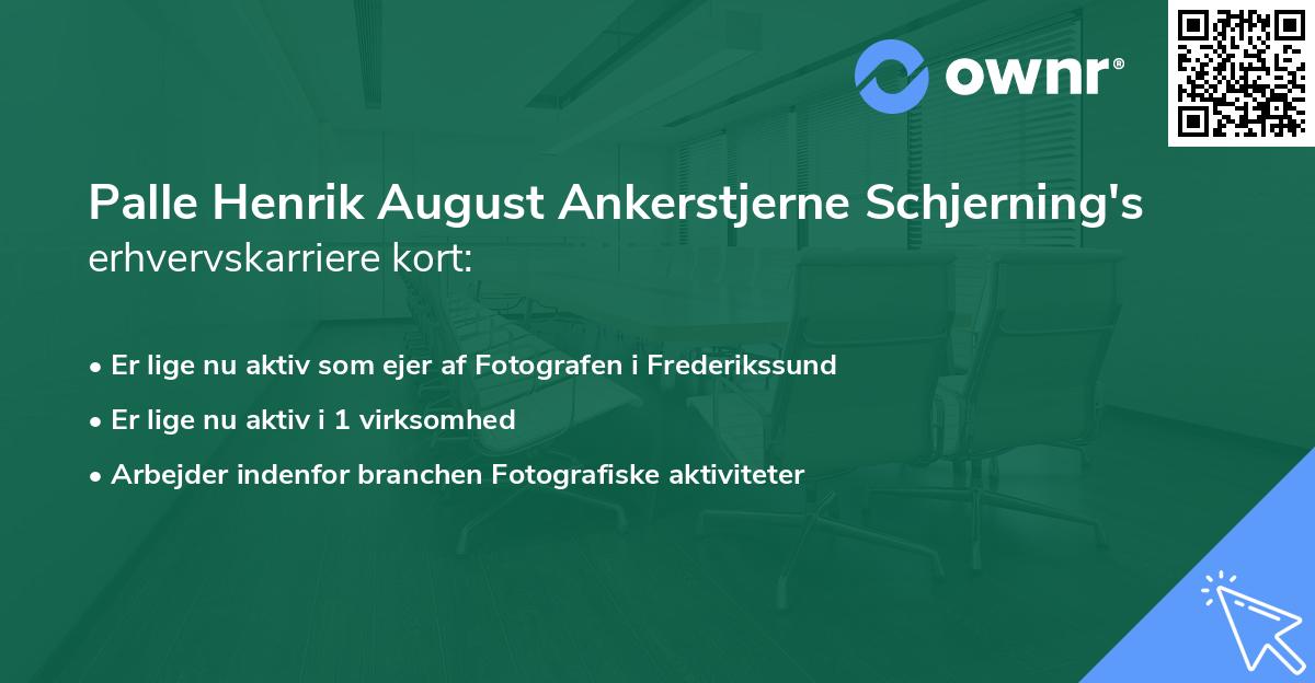Palle Henrik August Ankerstjerne Schjerning's erhvervskarriere kort