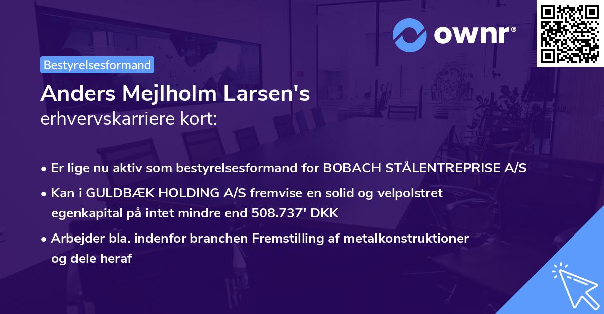Anders Mejlholm Larsen's erhvervskarriere kort