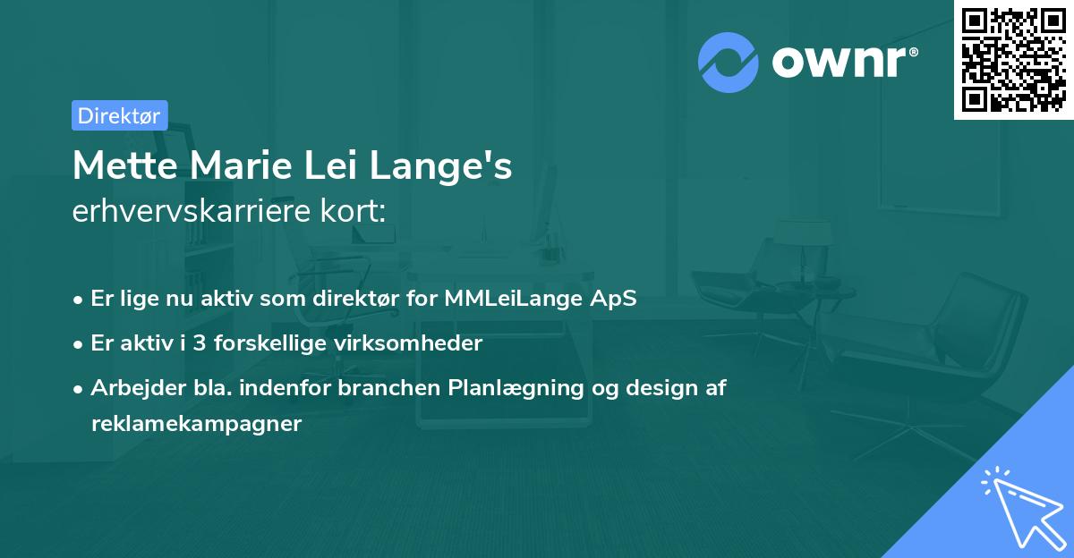 Mette Marie Lei Lange's erhvervskarriere kort