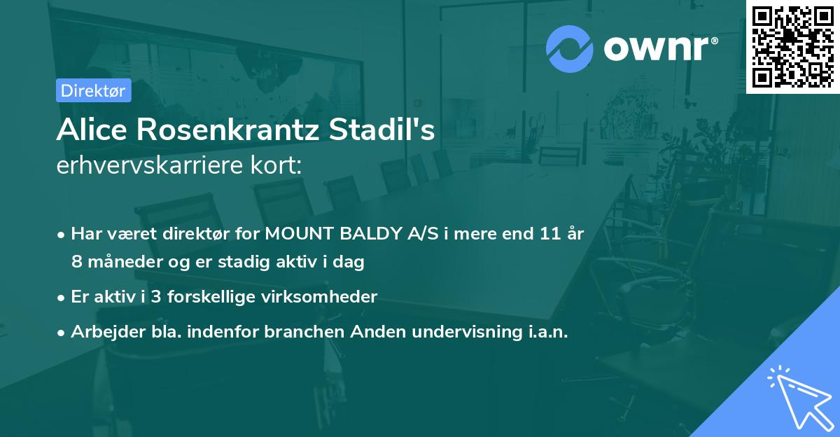 Alice Rosenkrantz Stadil's erhvervskarriere kort
