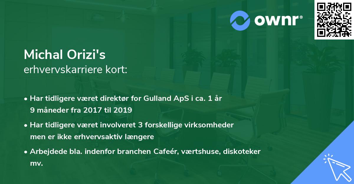 Michal Orizi's erhvervskarriere kort