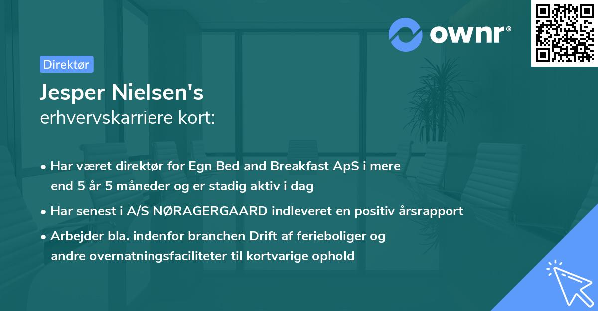 Jesper Nielsen's erhvervskarriere kort
