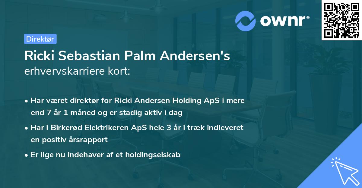 Ricki Sebastian Palm Andersen's erhvervskarriere kort