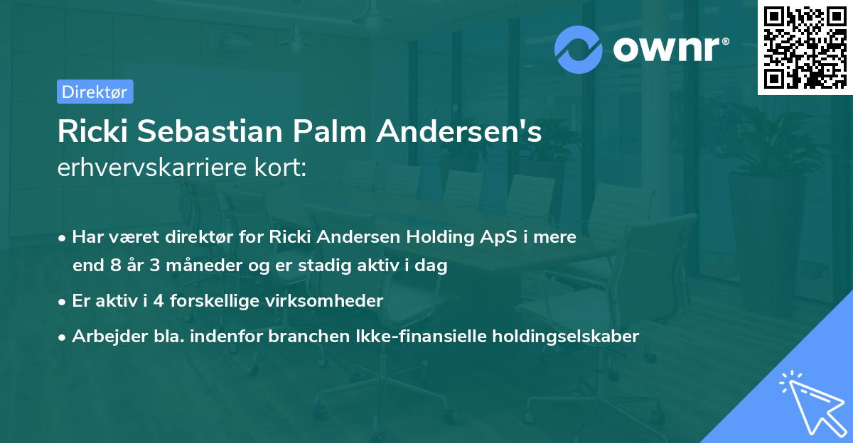 Ricki Sebastian Palm Andersen's erhvervskarriere kort