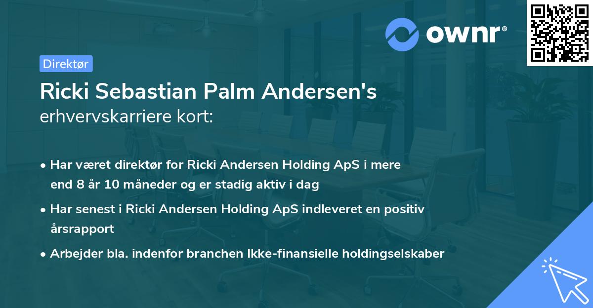 Ricki Sebastian Palm Andersen's erhvervskarriere kort