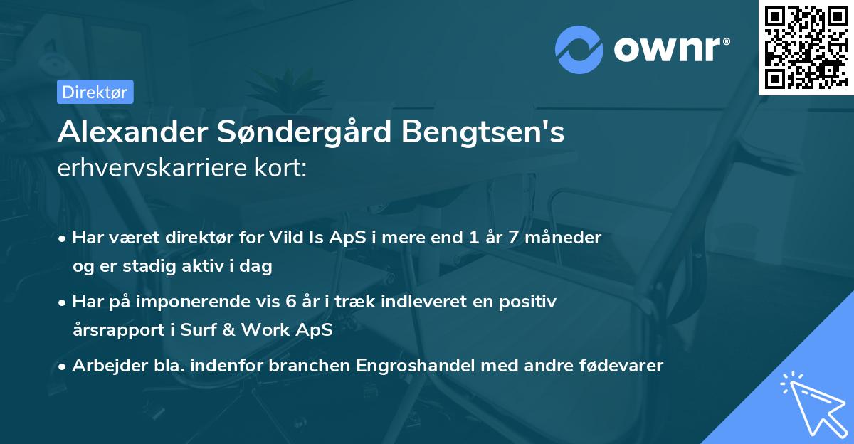 Alexander Søndergård Bengtsen's erhvervskarriere kort
