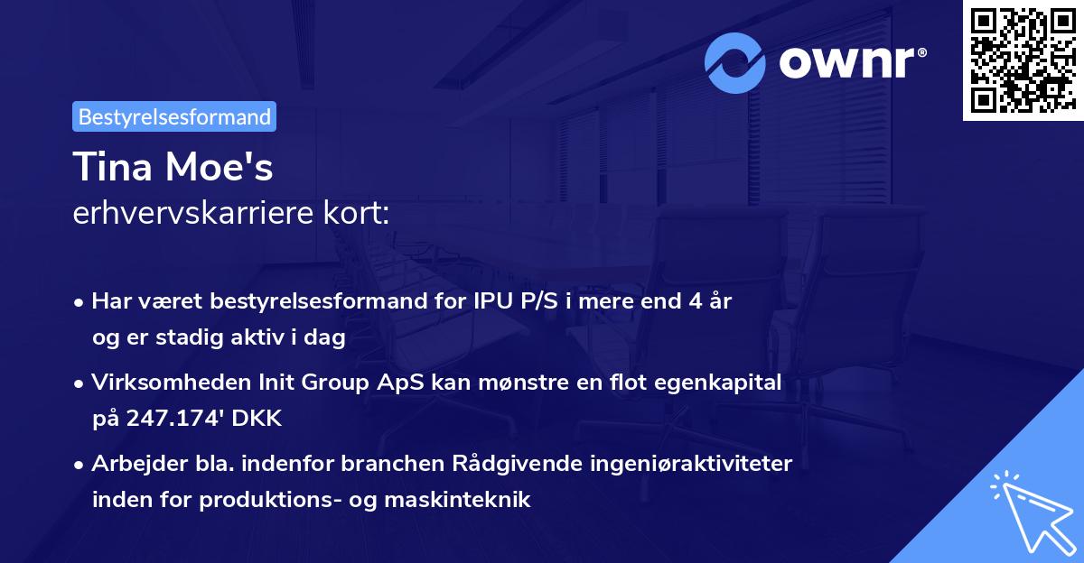 Tina Moe's erhvervskarriere kort