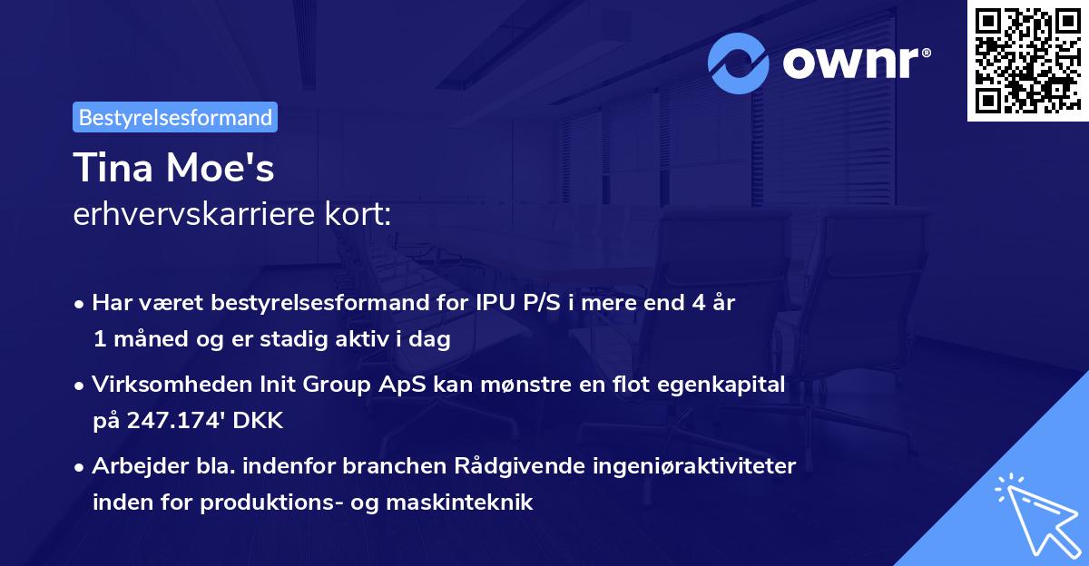 Tina Moe's erhvervskarriere kort