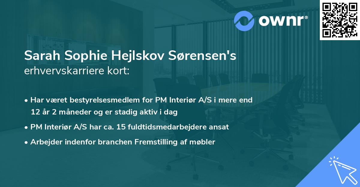 Sarah Sophie Hejlskov Sørensen's erhvervskarriere kort