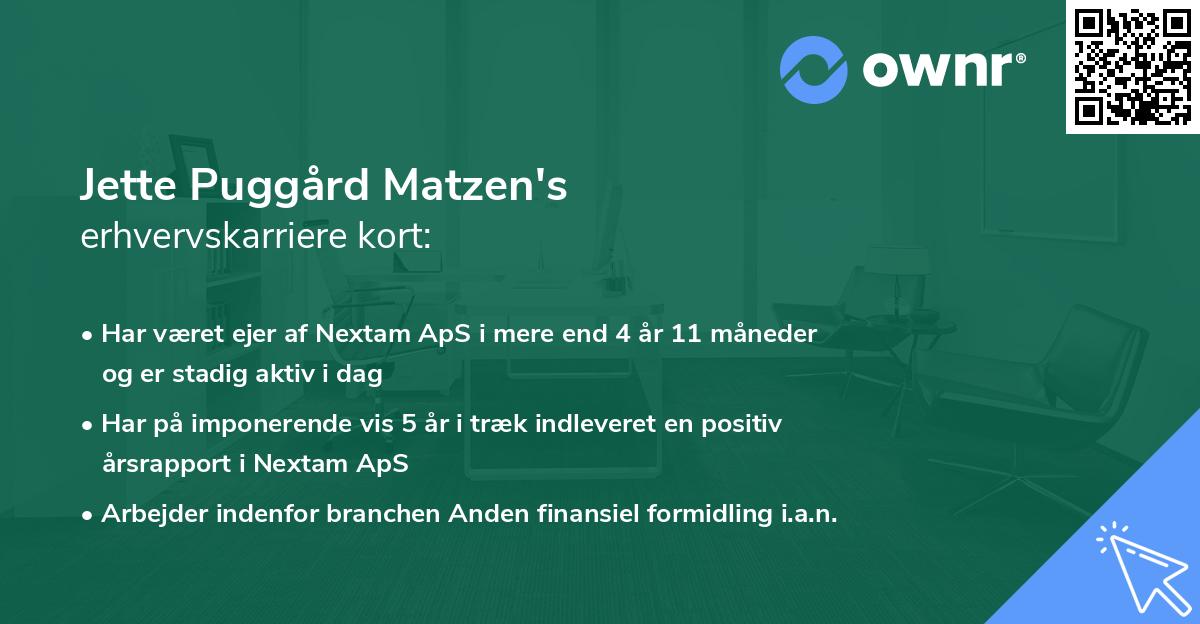 Jette Puggård Matzen's erhvervskarriere kort