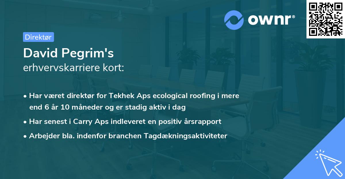 David Pegrim's erhvervskarriere kort
