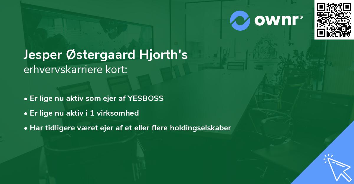 Jesper Østergaard Hjorth's erhvervskarriere kort