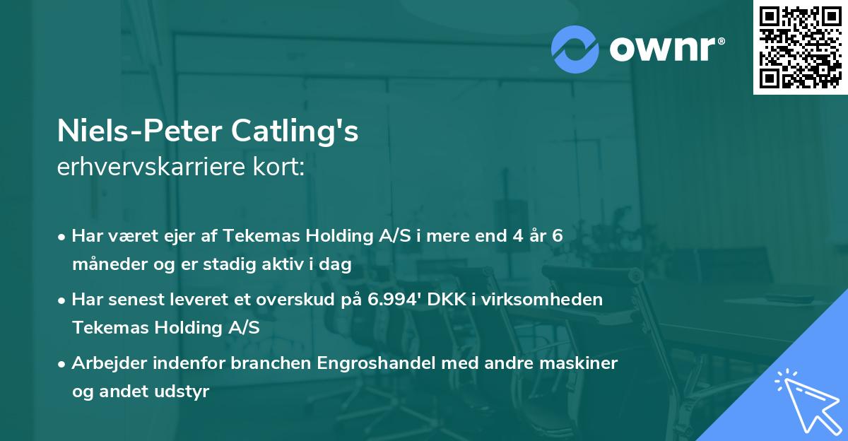 Niels-Peter Catling's erhvervskarriere kort