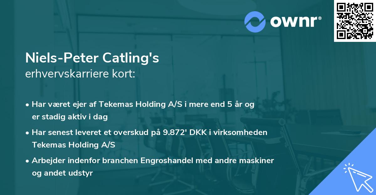 Niels-Peter Catling's erhvervskarriere kort