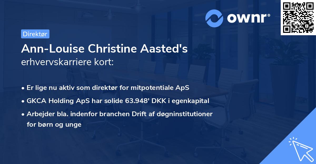 Ann-Louise Christine Aasted's erhvervskarriere kort