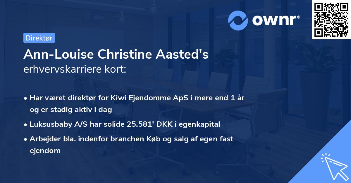 Ann-Louise Christine Aasted's erhvervskarriere kort