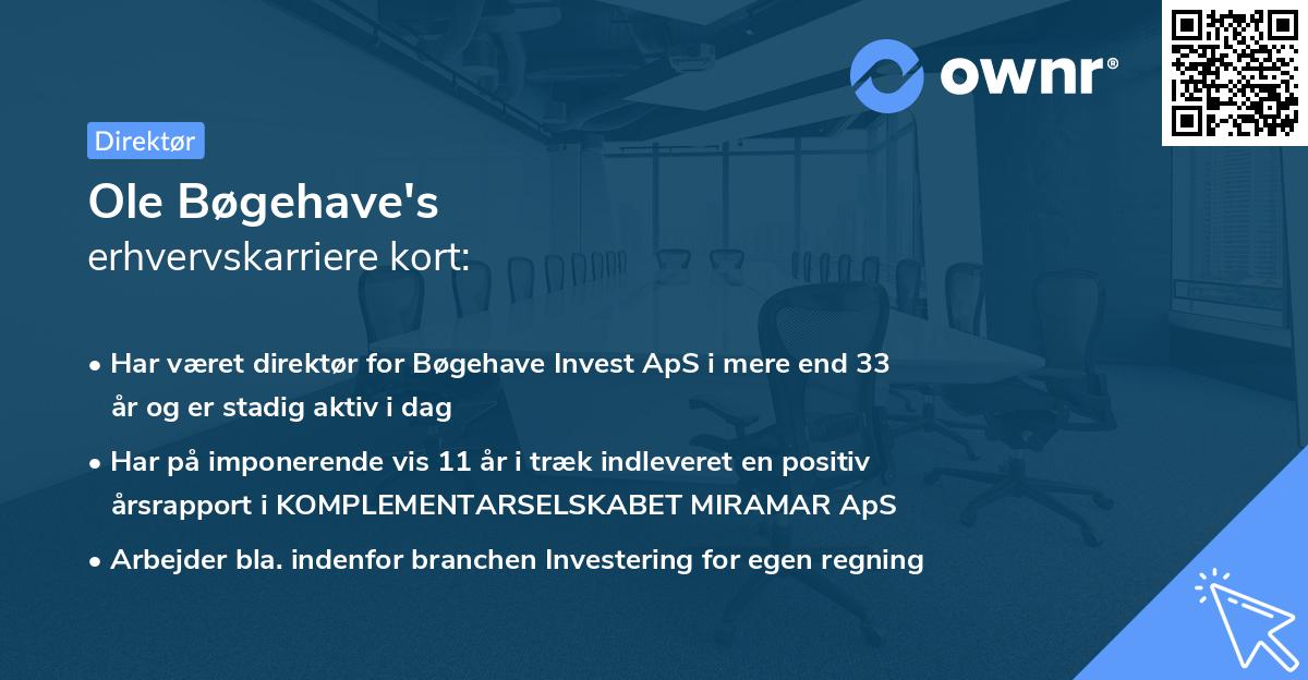 Ole Bøgehave's erhvervskarriere kort