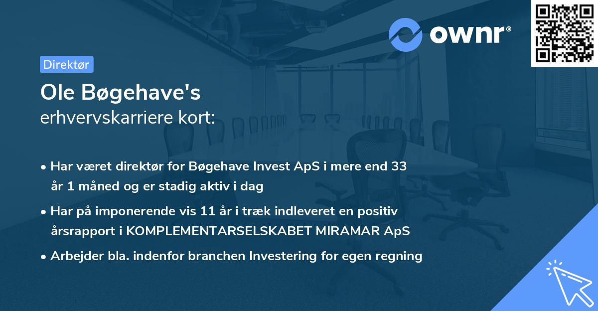 Ole Bøgehave's erhvervskarriere kort