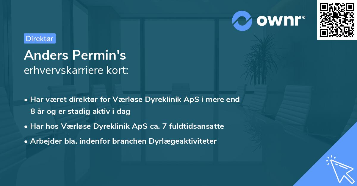 Anders Permin's erhvervskarriere kort