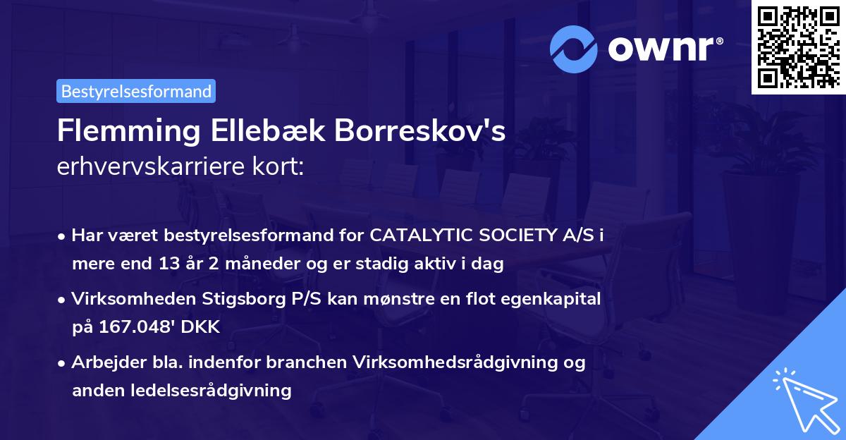 Flemming Ellebæk Borreskov's erhvervskarriere kort