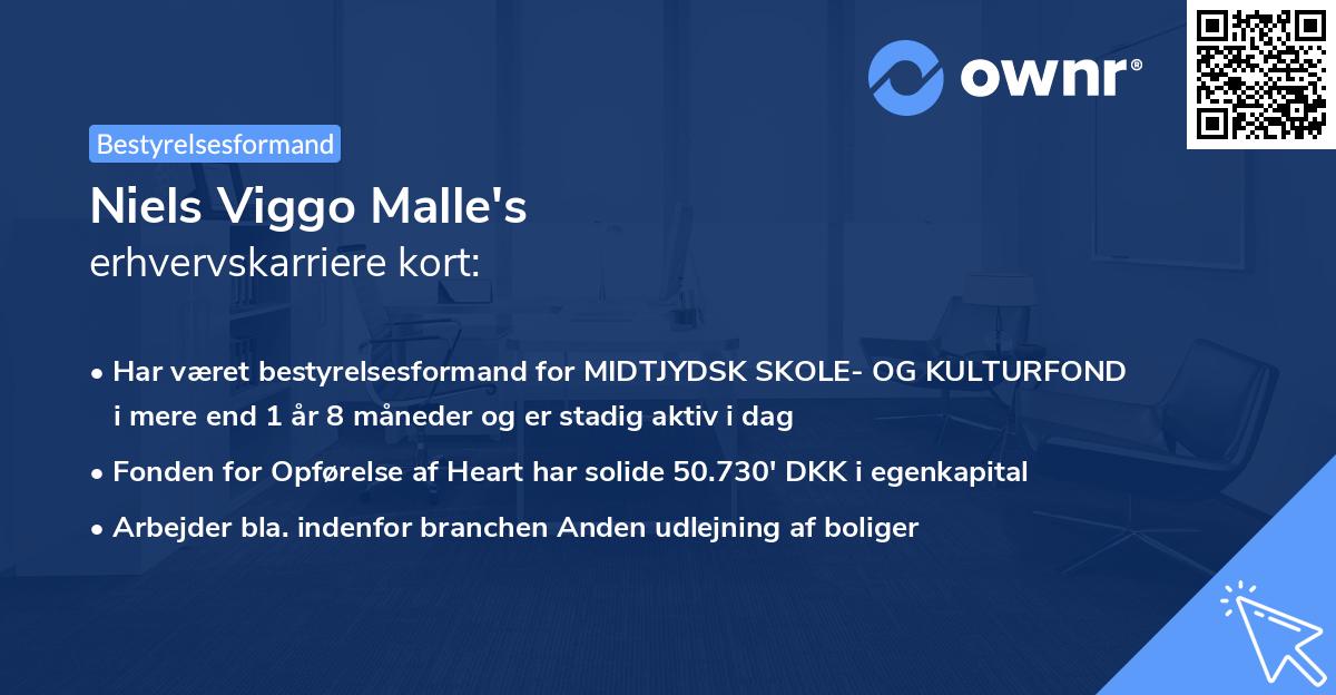 Niels Viggo Malle's erhvervskarriere kort