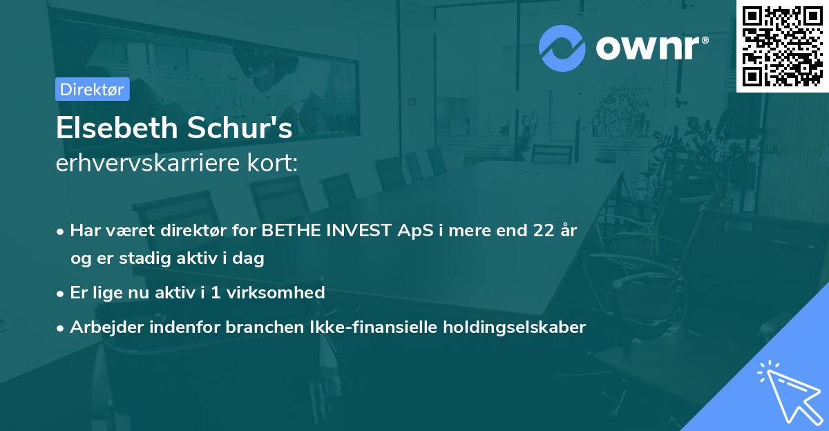 Elsebeth Schur's erhvervskarriere kort