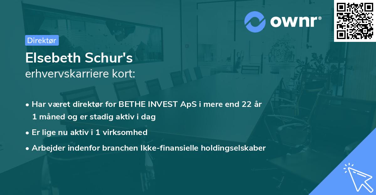 Elsebeth Schur's erhvervskarriere kort